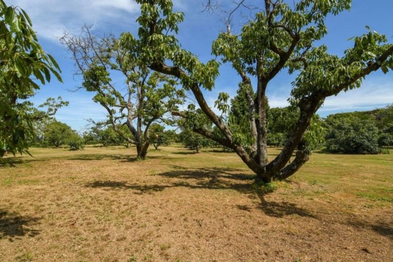 Photo of property in 380b Matahui Road, Aongatete, Katikati, 3181