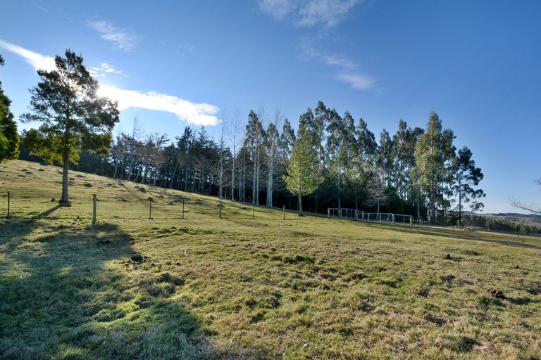 Photo of property in 139 Pryde Road, Evansdale, Waikouaiti, 9471