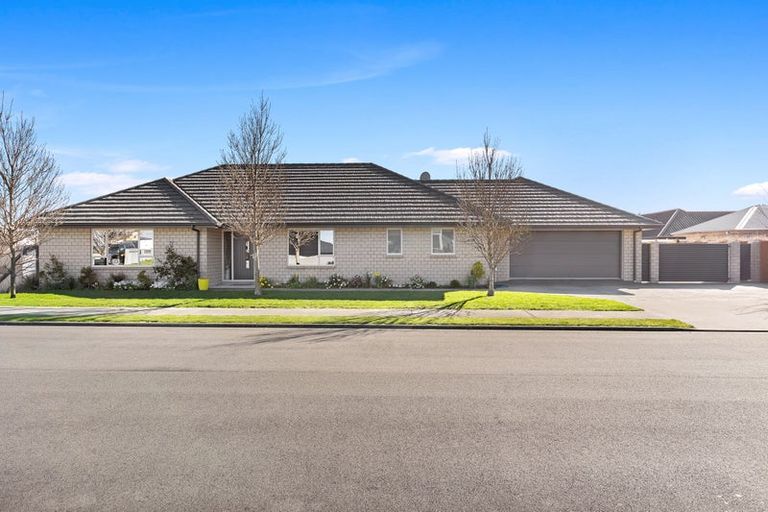 Photo of property in 37 Maeburn Street, Witherlea, Blenheim, 7201