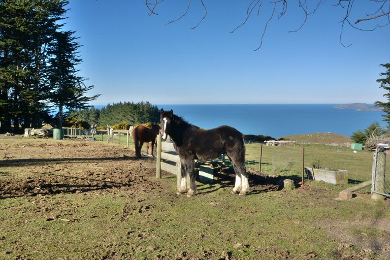 Photo of property in 139 Pryde Road, Evansdale, Waikouaiti, 9471