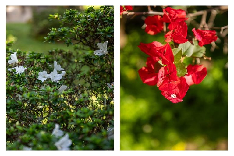 Photo of property in 101 Tararu Road, Thames, 3500