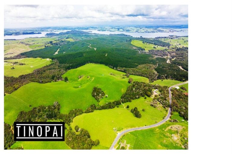 Photo of property in 1509 Tinopai Road, Tinopai, Matakohe, 0593