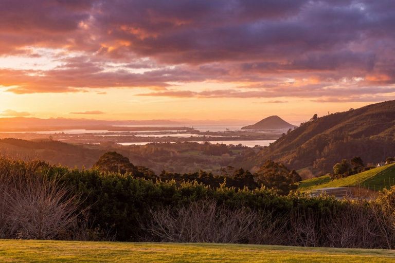 Photo of property in 157e Kaiate Falls Road, Waitao, Tauranga, 3175