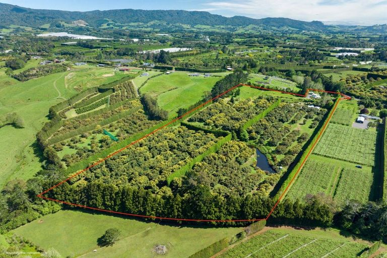 Photo of property in 39 Hot Springs Road, Tahawai, Katikati, 3178