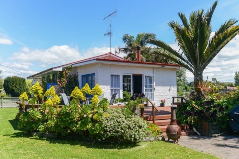 Photo of property in 31 Rogers Road, Bay View, Napier, 4104