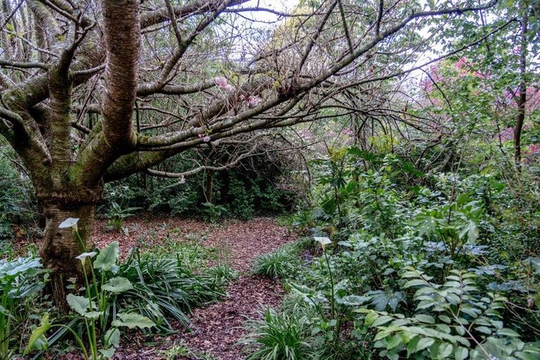 Photo of property in 30 Silkwood Way, Tauriko, Tauranga, 3110