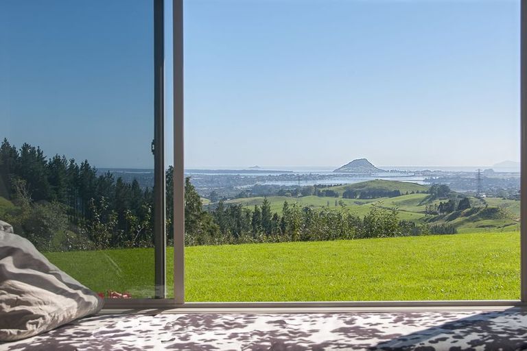 Photo of property in 565a Upper Ohauiti Road, Ohauiti, Tauranga, 3173