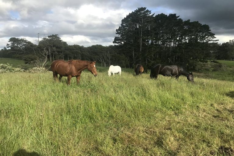 Photo of property in 133 Hanham Road, Kumeu, 0891