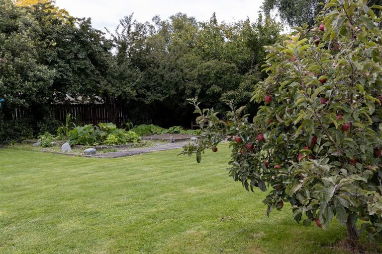 Photo of property in 27 Rogers Street, Blenheim, 7201