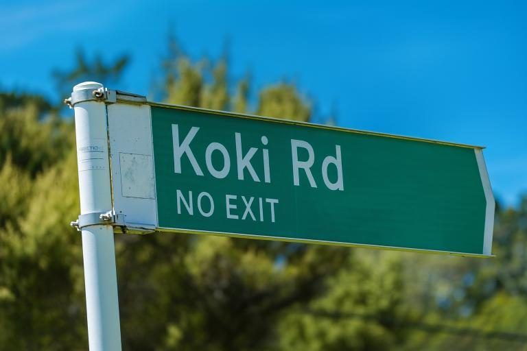 Photo of property in 2 Koki Road, Greenhithe, Auckland, 0632