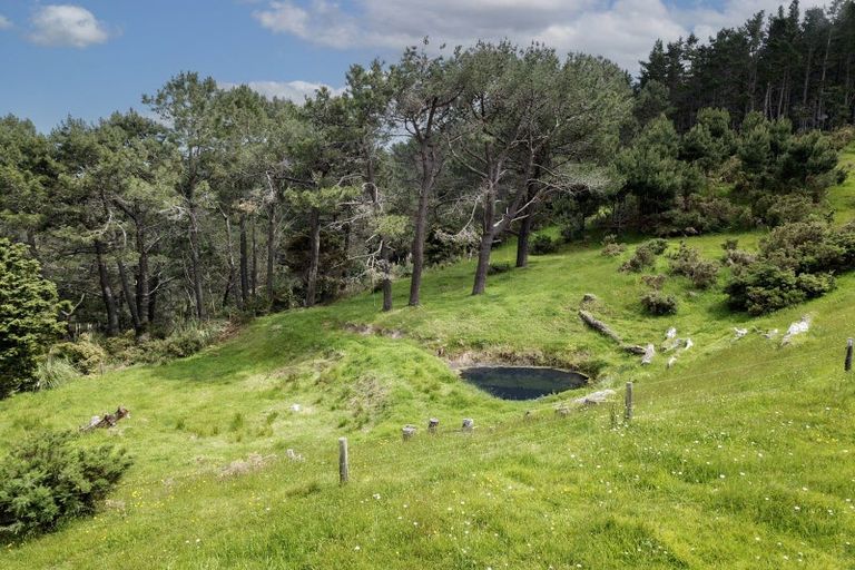 Photo of property in 70 Opanake Road, Parore, Dargaville, 0372