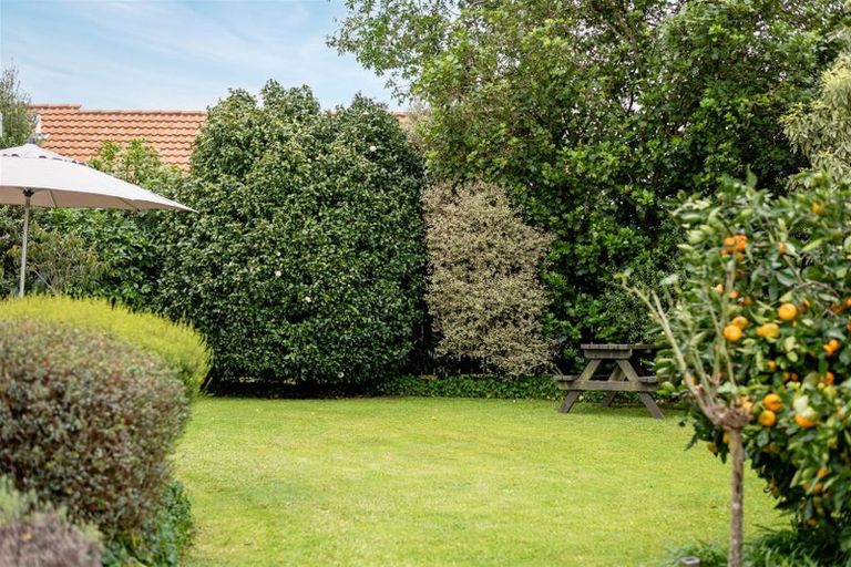 Photo of property in 46a Macfarlane Street, Hamilton East, Hamilton, 3216