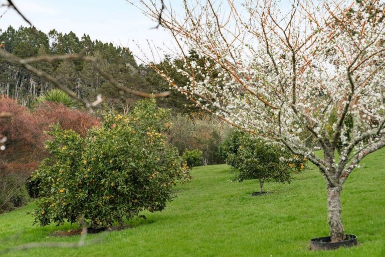 Photo of property in 101 Mount Albion Rise, Taupaki, Henderson, 0782
