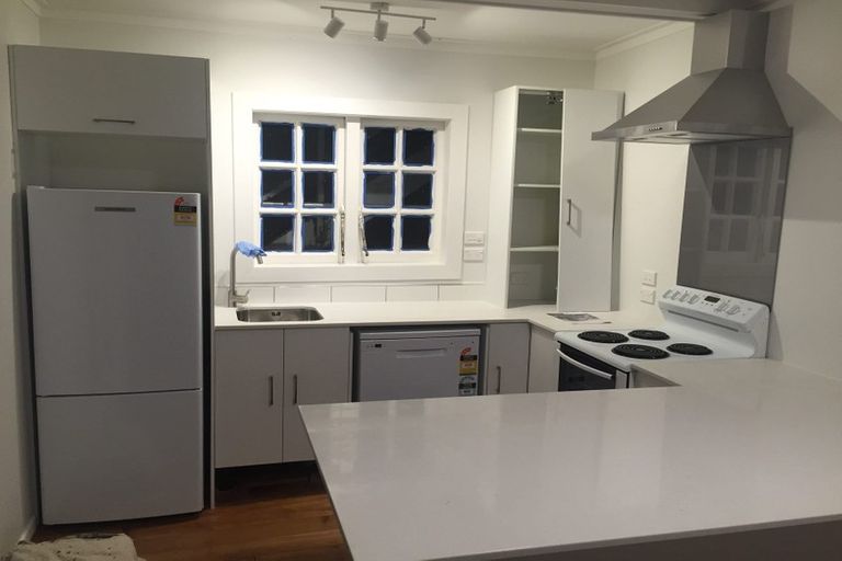 Photo of property in 7 Vine Street, Saint Marys Bay, Auckland, 1011