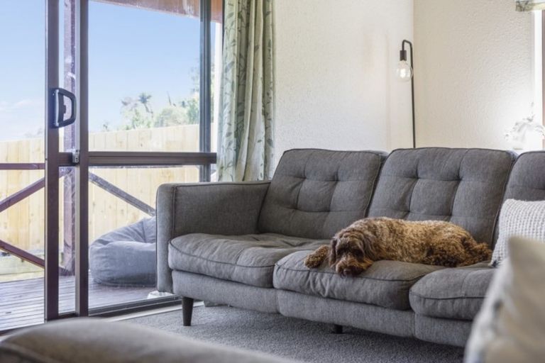 Photo of property in 11a Westwood Street, Bellevue, Tauranga, 3110