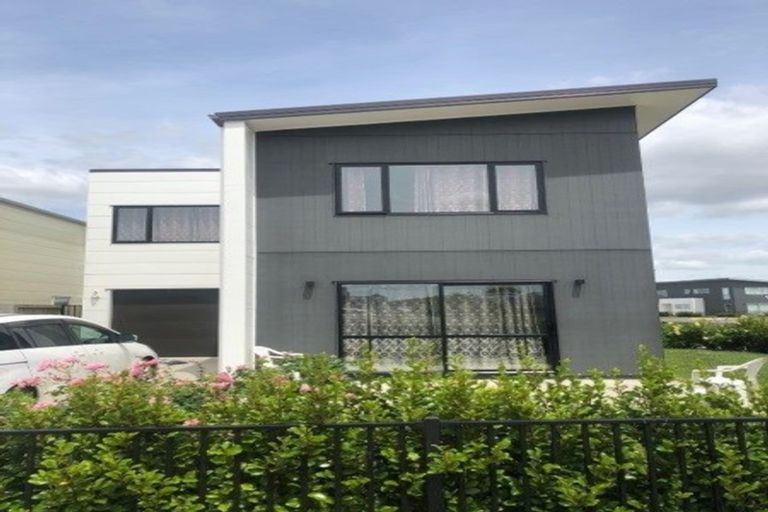 Photo of property in 46 Tennille Street, Flagstaff, Hamilton, 3210