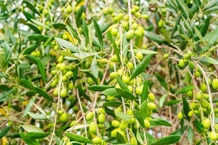 Photo of property in 57 Whangarei Heads School Road, Whangarei Heads, Whangarei, 0174