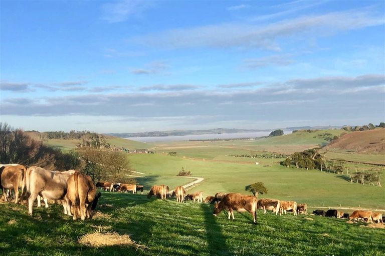 Photo of property in 182 Morrison Road, Arapohue, Dargaville, 0374