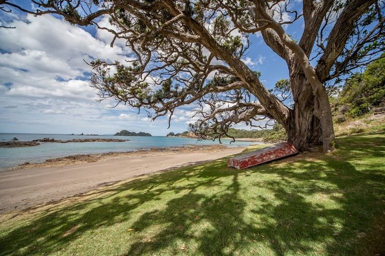 Photo of property in 356 Rockell Road, Whananaki, Hikurangi, 0181