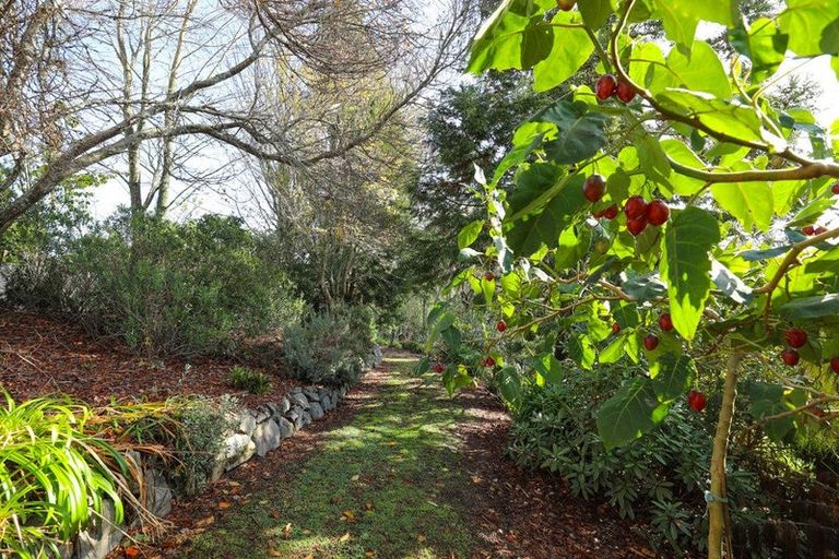 Photo of property in 81 Brunswick Drive, Tikitere, Rotorua, 3074