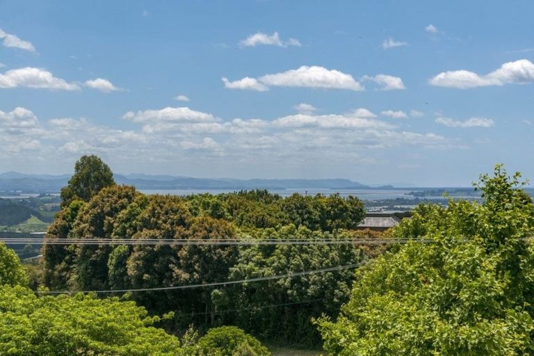 Photo of property in 269 Minden Road, Minden, Tauranga, 3176