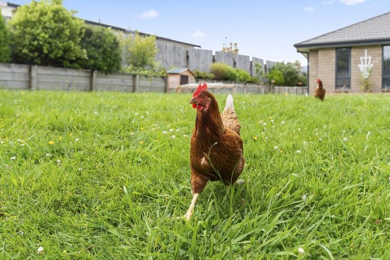 Photo of property in 25 Hamon Place, Pukehangi, Rotorua, 3015