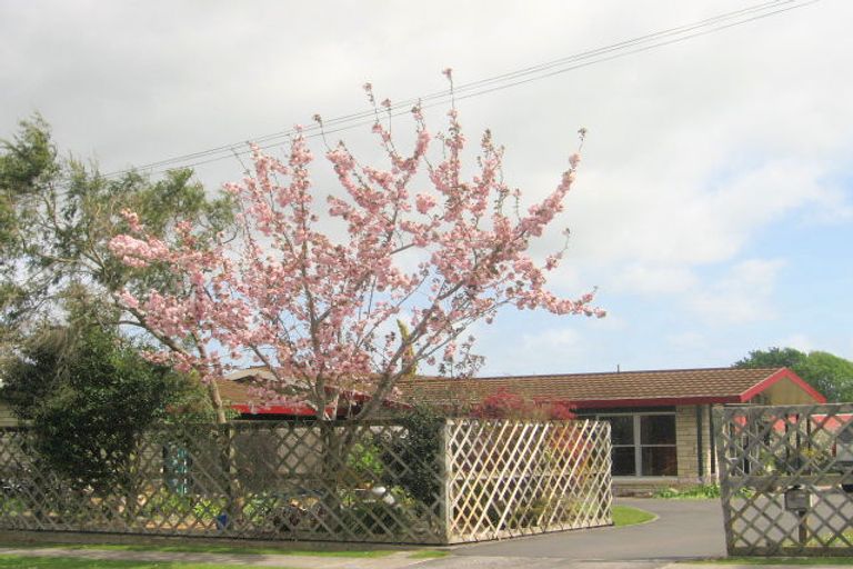 Photo of property in 5 Bank Street, Morrinsville, 3300
