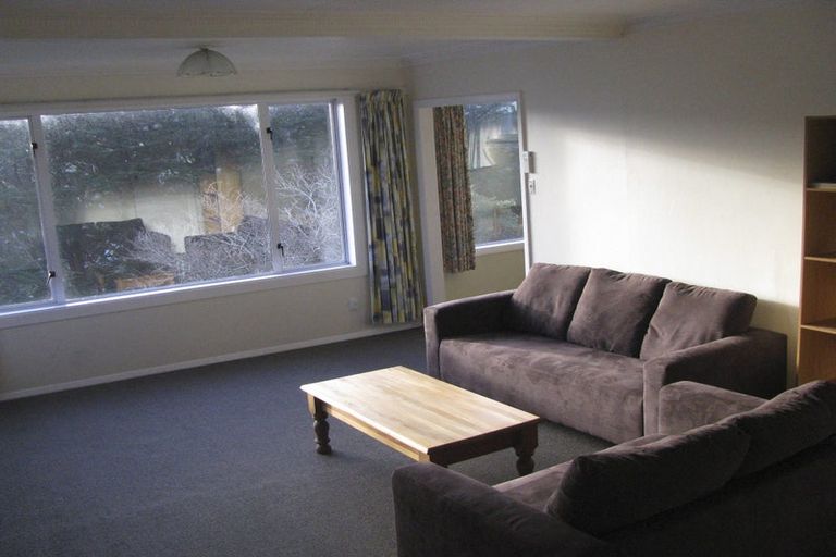 Photo of property in 165 Evans Street, Opoho, Dunedin, 9010