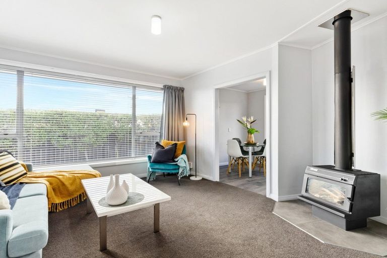 Photo of property in 218 Scott Street, Redwoodtown, Blenheim, 7201