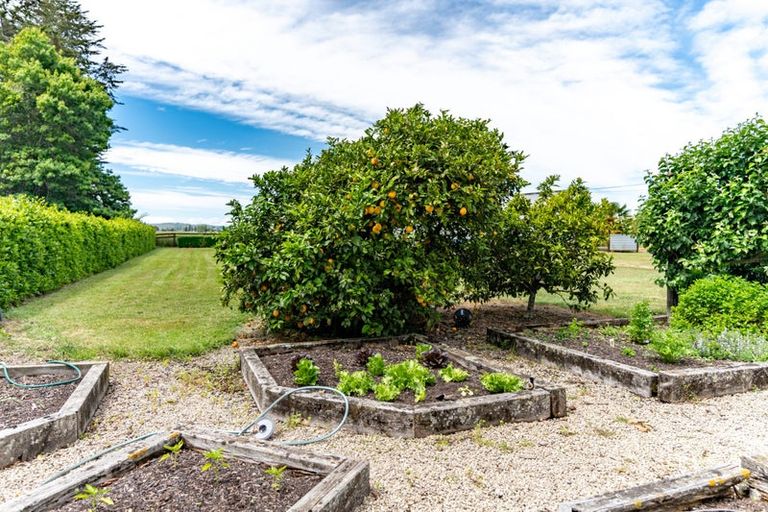 Photo of property in 231 Masterton Castlepoint Road, Te Ore Ore, Masterton, 5886