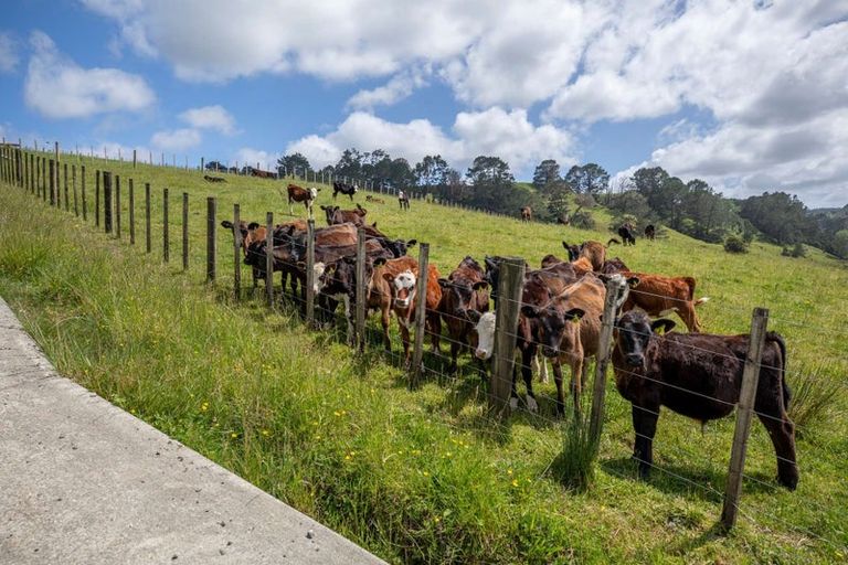 Photo of property in 450 Komokoriki Hill Road, Makarau, Warkworth, 0981