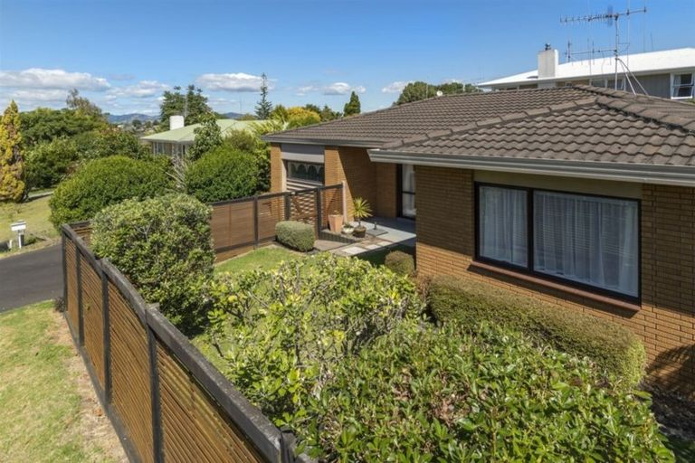 Photo of property in 38a The Drive, Brookfield, Tauranga, 3110