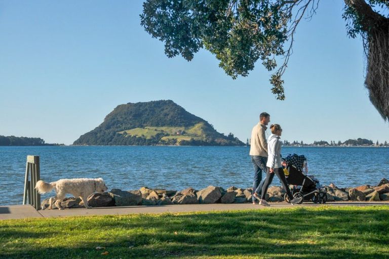 Photo of property in 527 Otumoetai Road, Matua, Tauranga, 3110