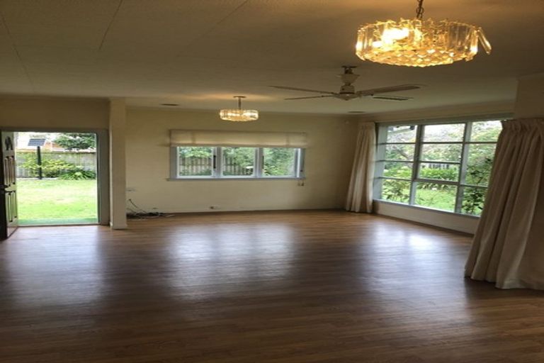 Photo of property in 19 Marshall Street, Fairfield, Hamilton, 3214