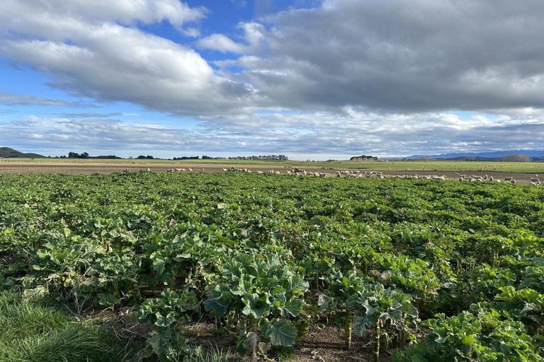 Photo of property in 173 Happy Valley Road, Owhiro Bay, Wellington, 6023