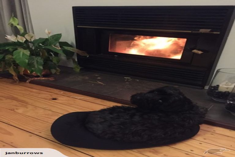 Photo of property in 1/53 Moore Street, Hillcrest, Auckland, 0627