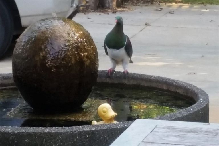 Photo of property in 78 Manawapou Road, Hawera, 4610