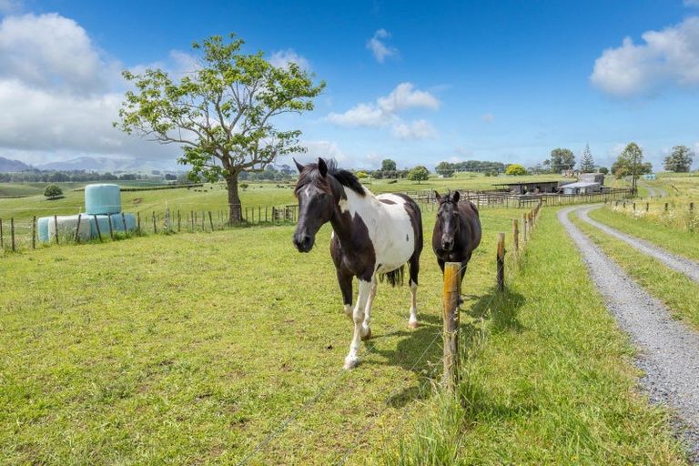 Photo of property in 29 Wharepuhunga Road, Otorohanga, Te Awamutu, 3873