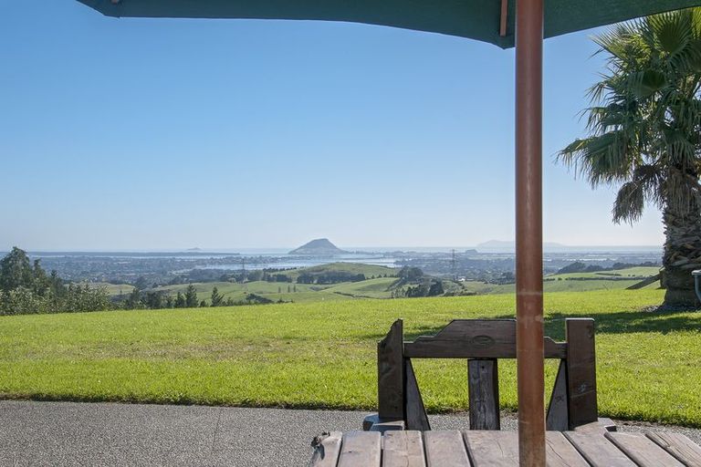 Photo of property in 565a Upper Ohauiti Road, Ohauiti, Tauranga, 3173