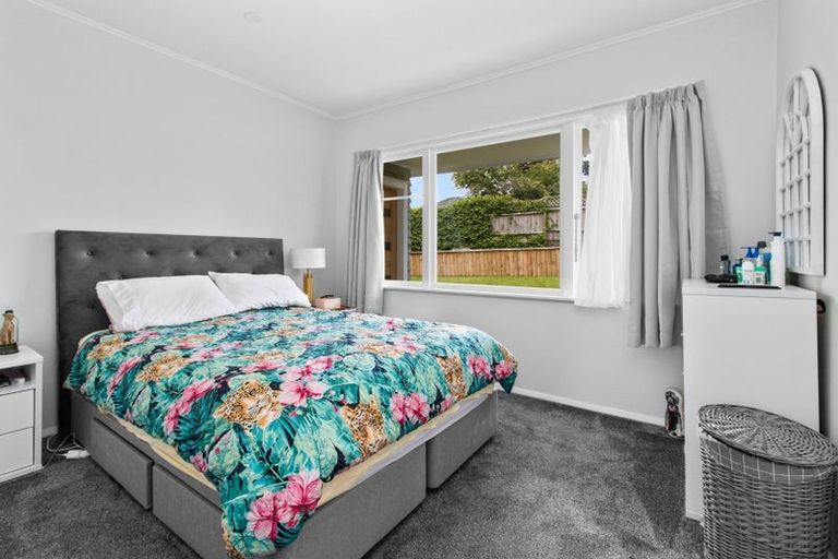 Photo of property in 20 Alison Street, Hamilton Lake, Hamilton, 3204