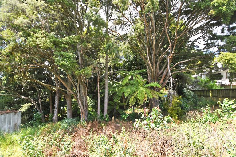 Photo of property in 1/51 Hill Street, Warkworth, 0910