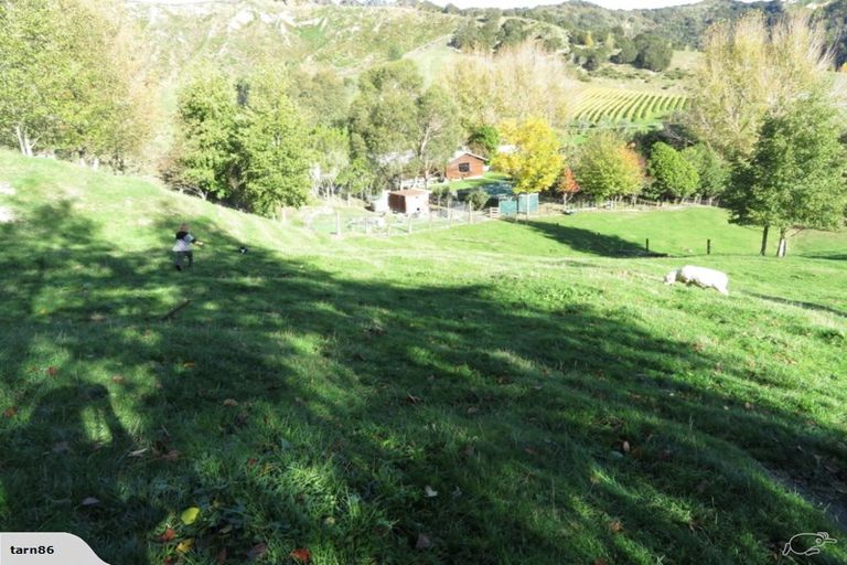 Photo of property in 245 Ormond Valley Road, Ormond, Gisborne, 4071