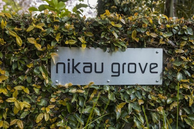 Photo of property in 50 Saint Regis Way, Bethlehem, Tauranga, 3110