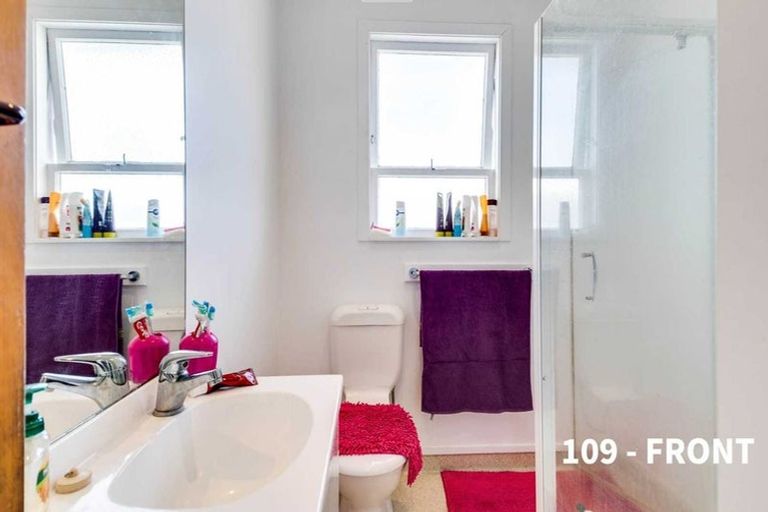 Photo of property in 109 Hapuka Street, Frimley, Hastings, 4120