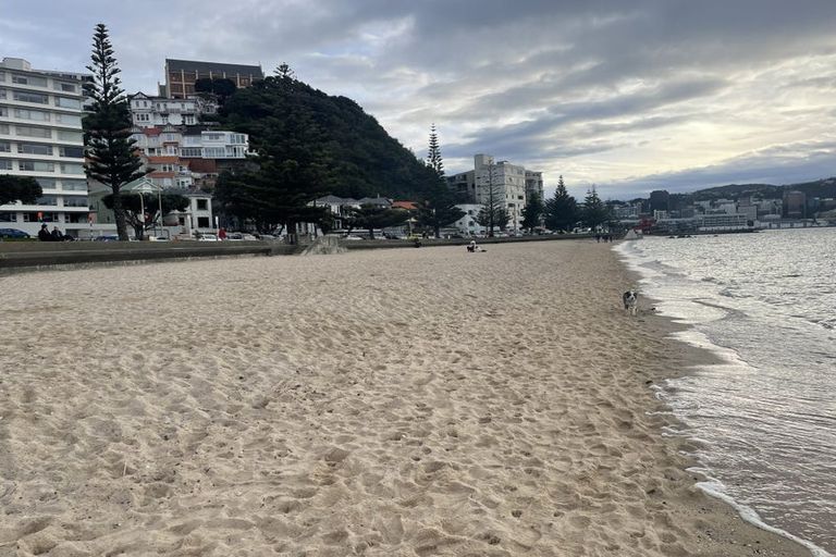 Photo of property in 10 Oriental Terrace, Mount Victoria, Wellington, 6011