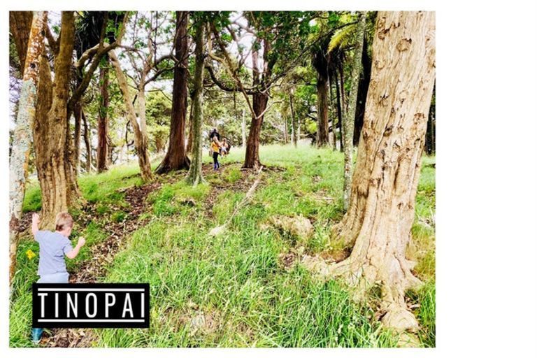 Photo of property in 1509 Tinopai Road, Tinopai, Matakohe, 0593