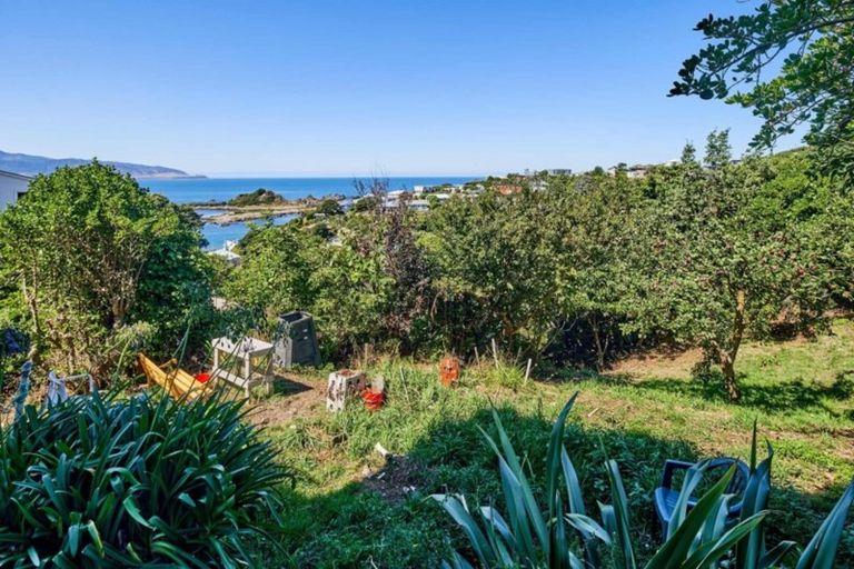 Photo of property in 17 Oku Street, Island Bay, Wellington, 6023
