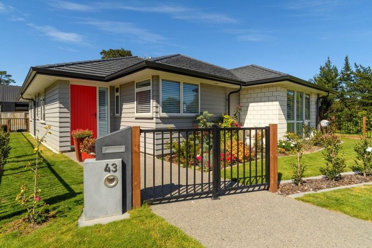 Photo of property in 43 Parau Drive, Bethlehem, Tauranga, 3110