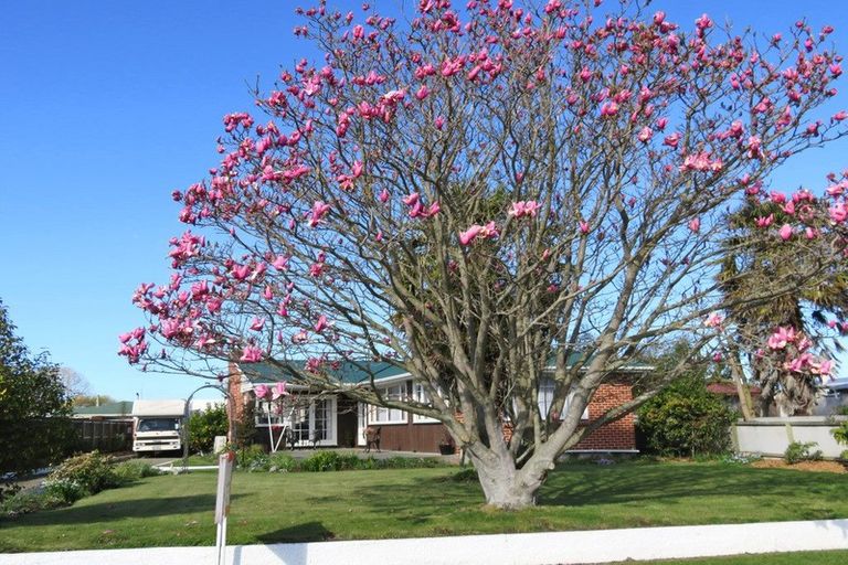 Photo of property in 40 Hayhurst Street, Temuka, 7920
