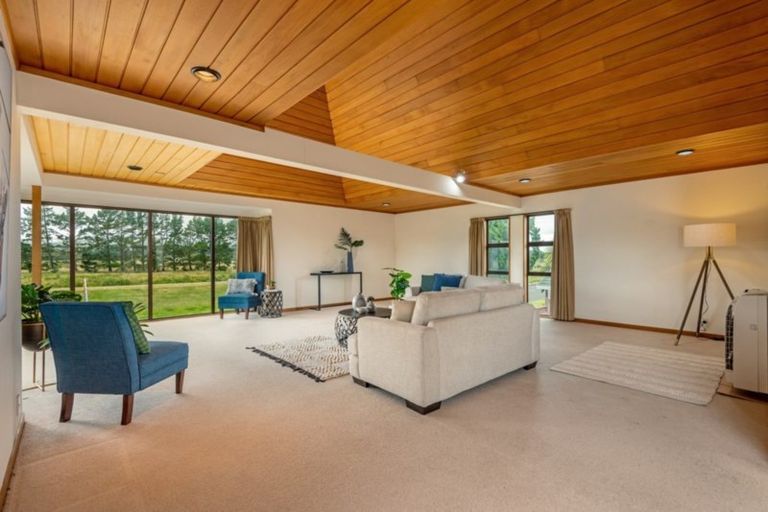 Photo of property in 67 Dittmer Drive, Awapuni, Palmerston North, 4412